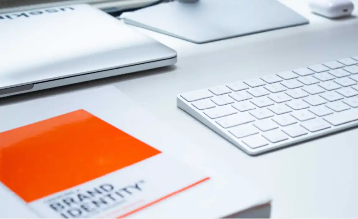 buscador con palabra brand 1 1536x939