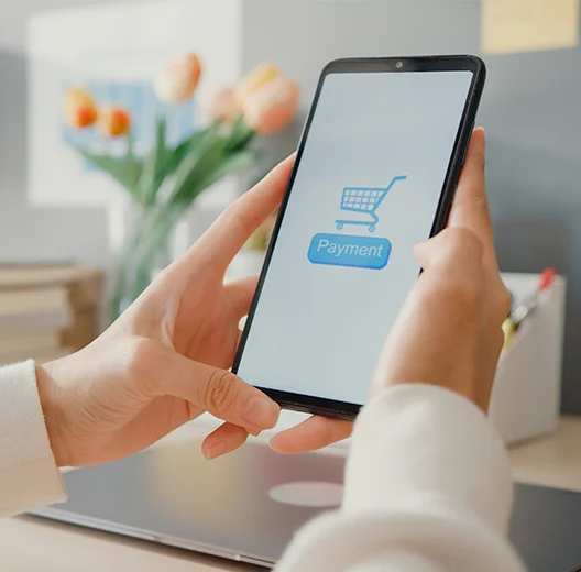 ecommerce para ventas