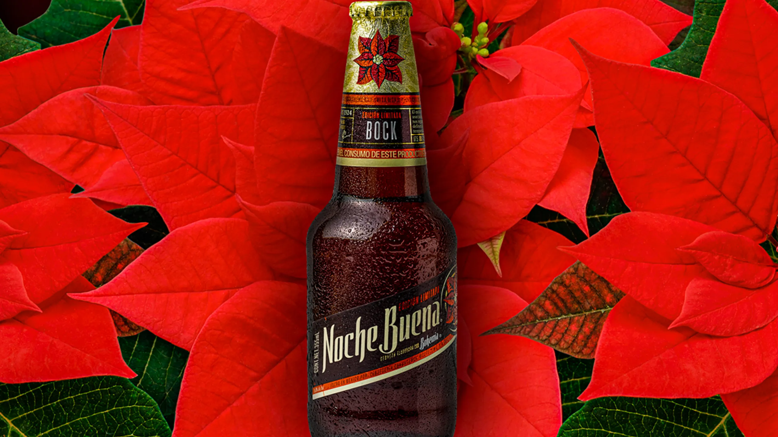 noche buena cerveza cover