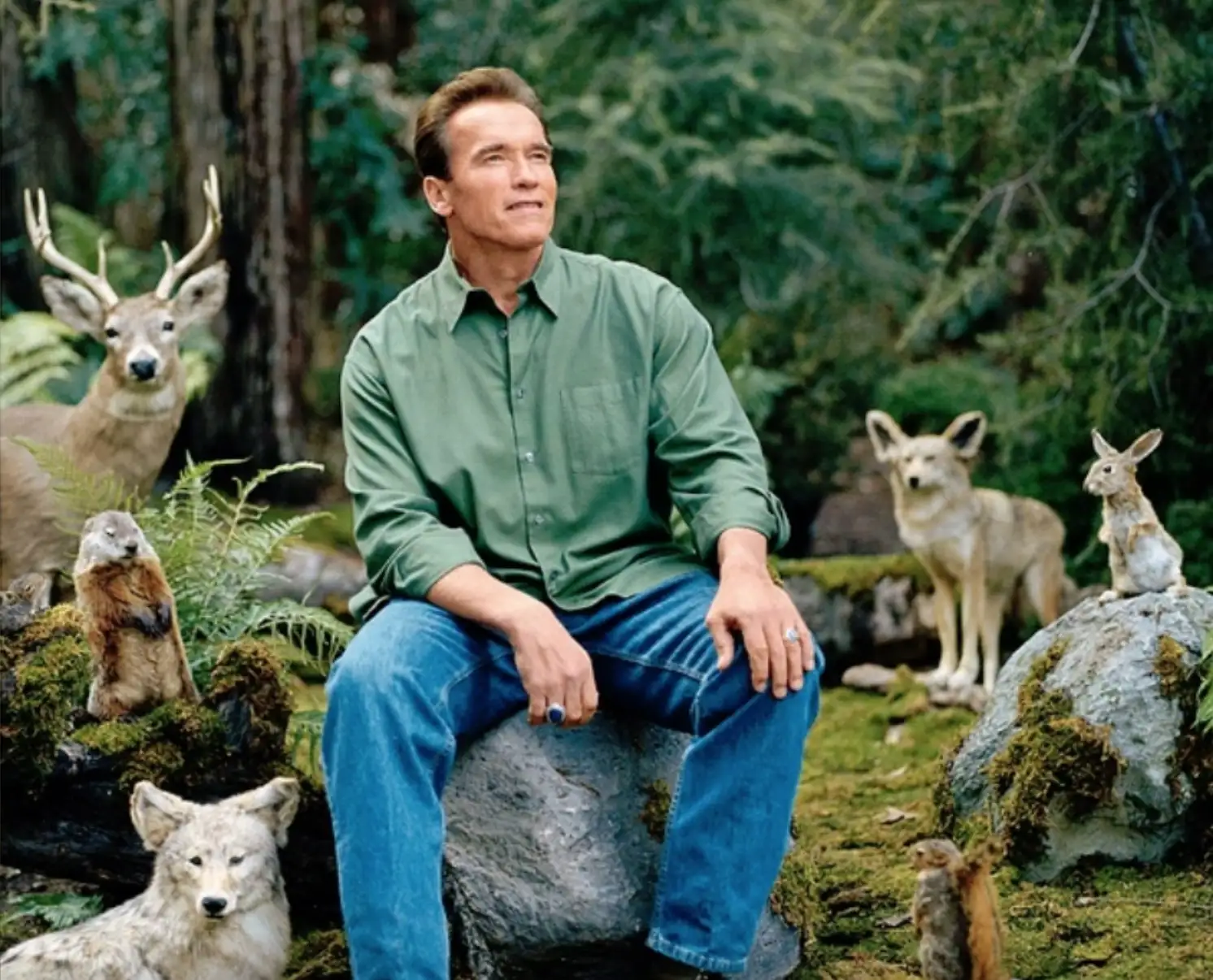 arnold schwarzenegger naturaleza arnold schwarzenegger naturaleza