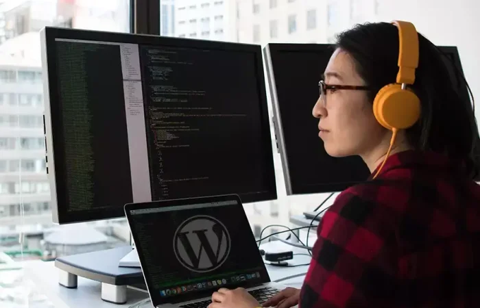 pluggings de wordpress