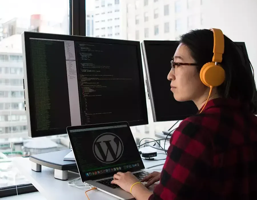 pluggings de wordpress