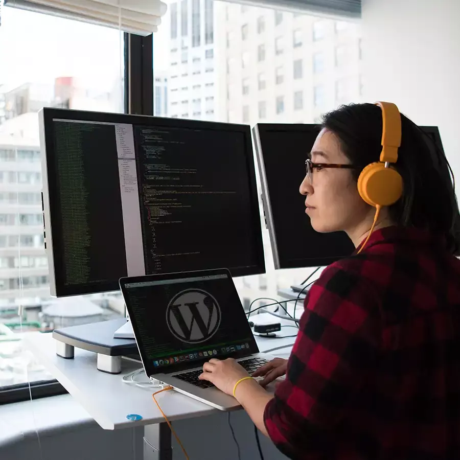 pluggings de wordpress