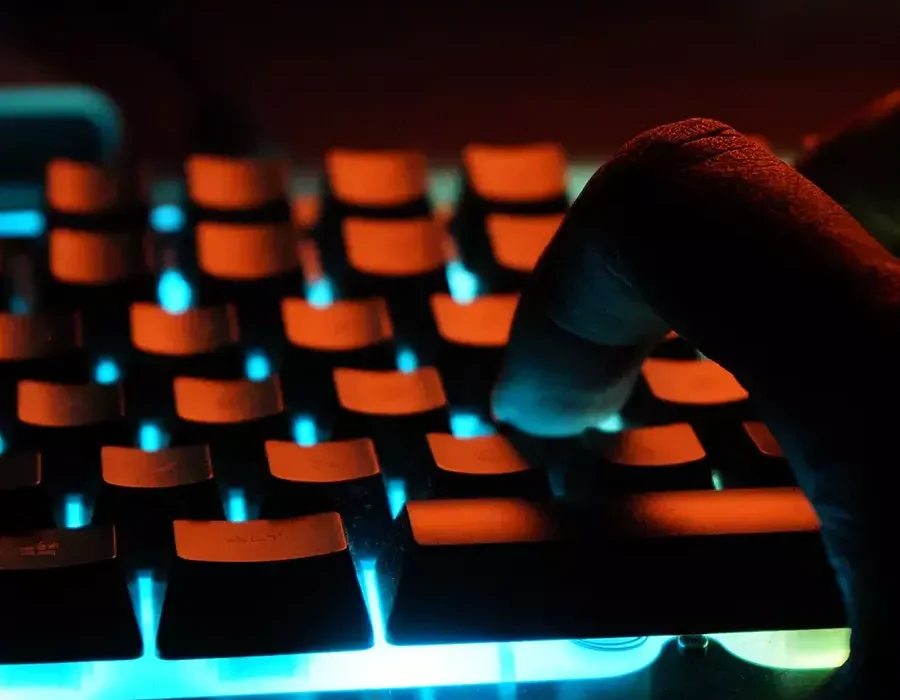 canibalizacion en seo