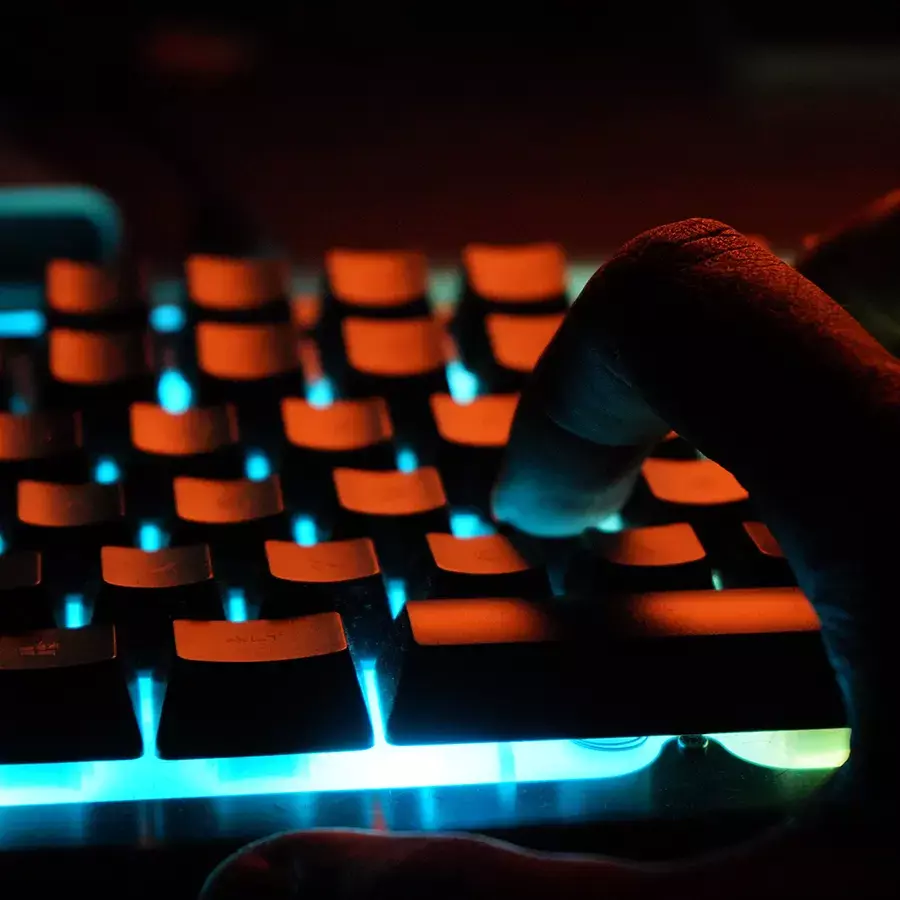 canibalizacion en seo