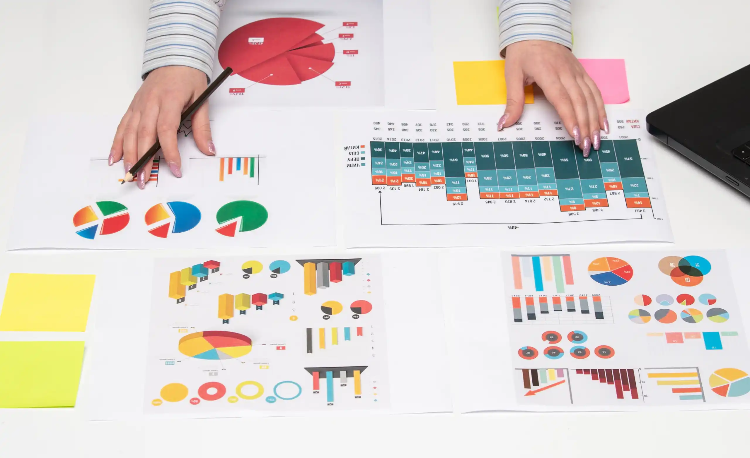 persona investigación y segmentación