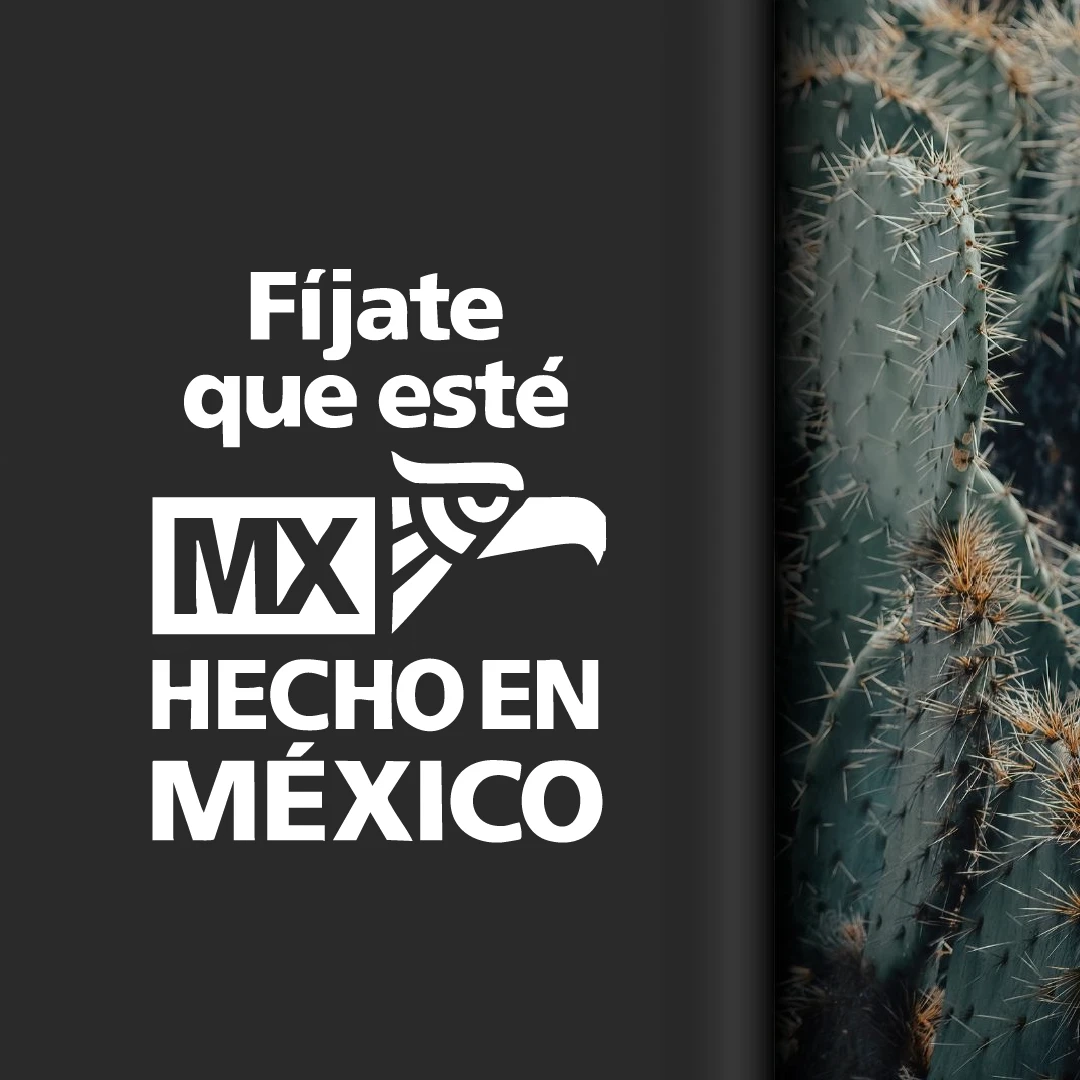 logo hecho en mexico 2004