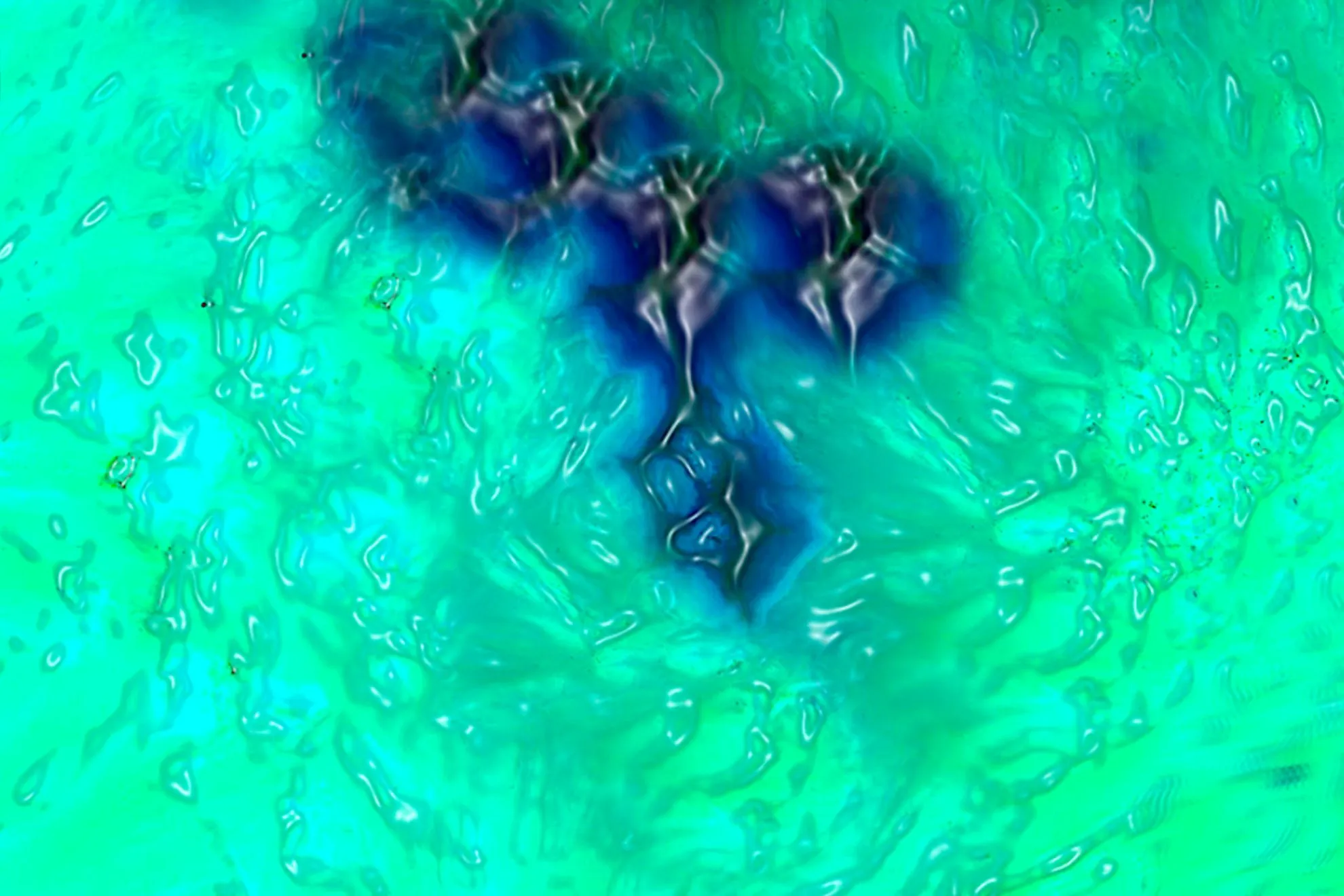 nuevo color olo en el marketing